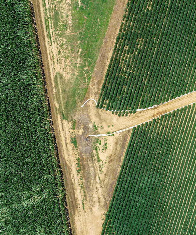 An aerial image of multiple crops fields intersecting with white poly-pipe on the field edge