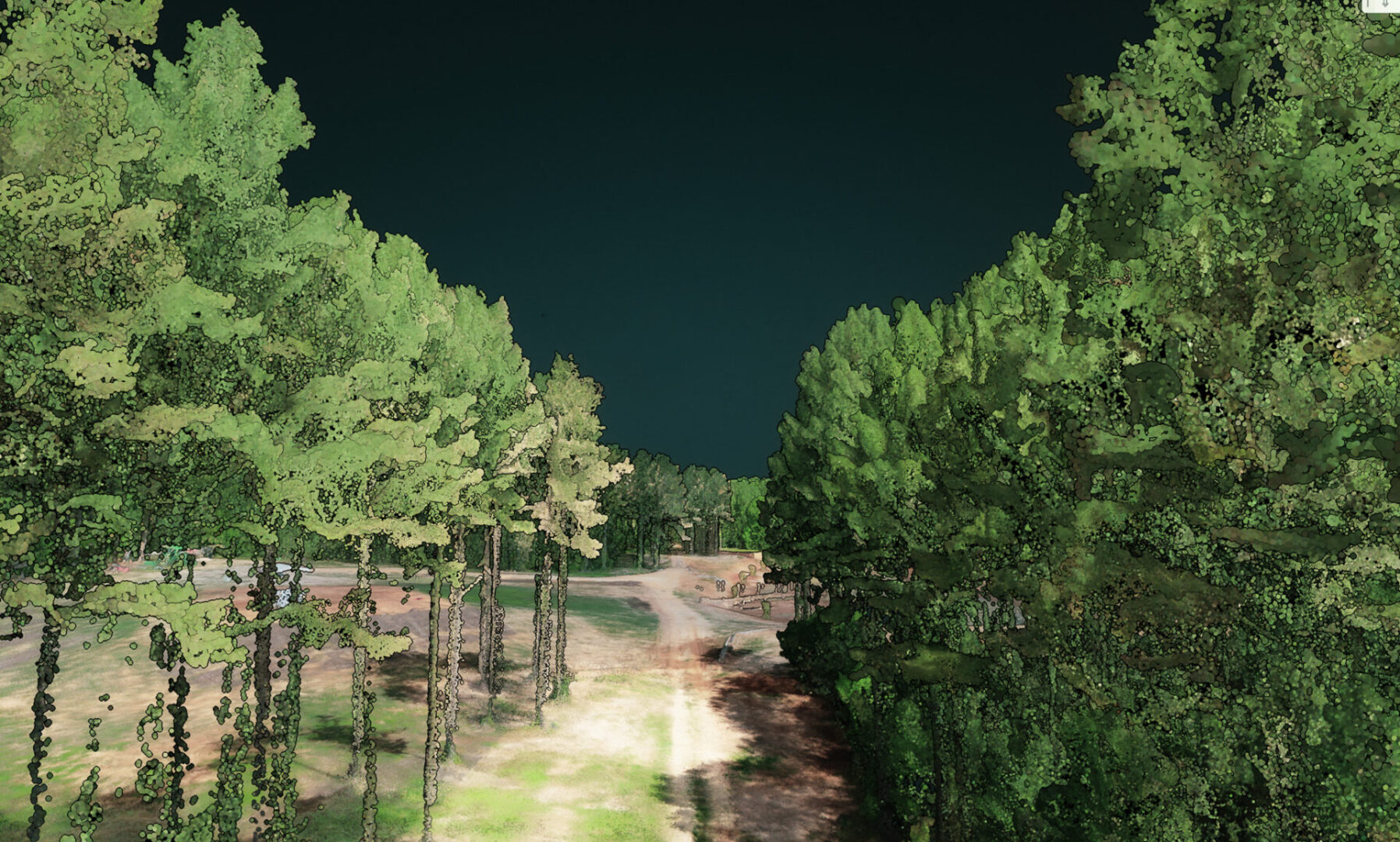 Aerial LiDAR image of road cutting through a pine forrest